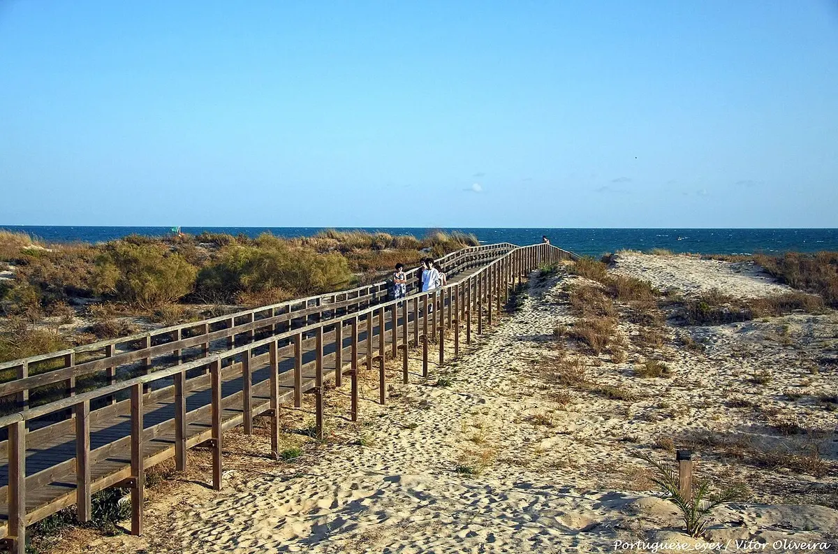 The dune-backed beach at Cabeço near Castro Marim