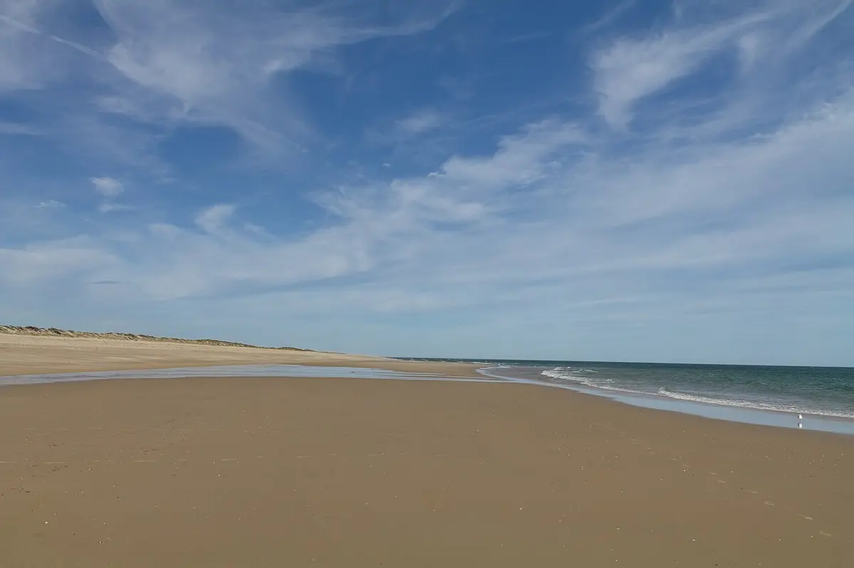 The ocean beach and dunes at Culatra