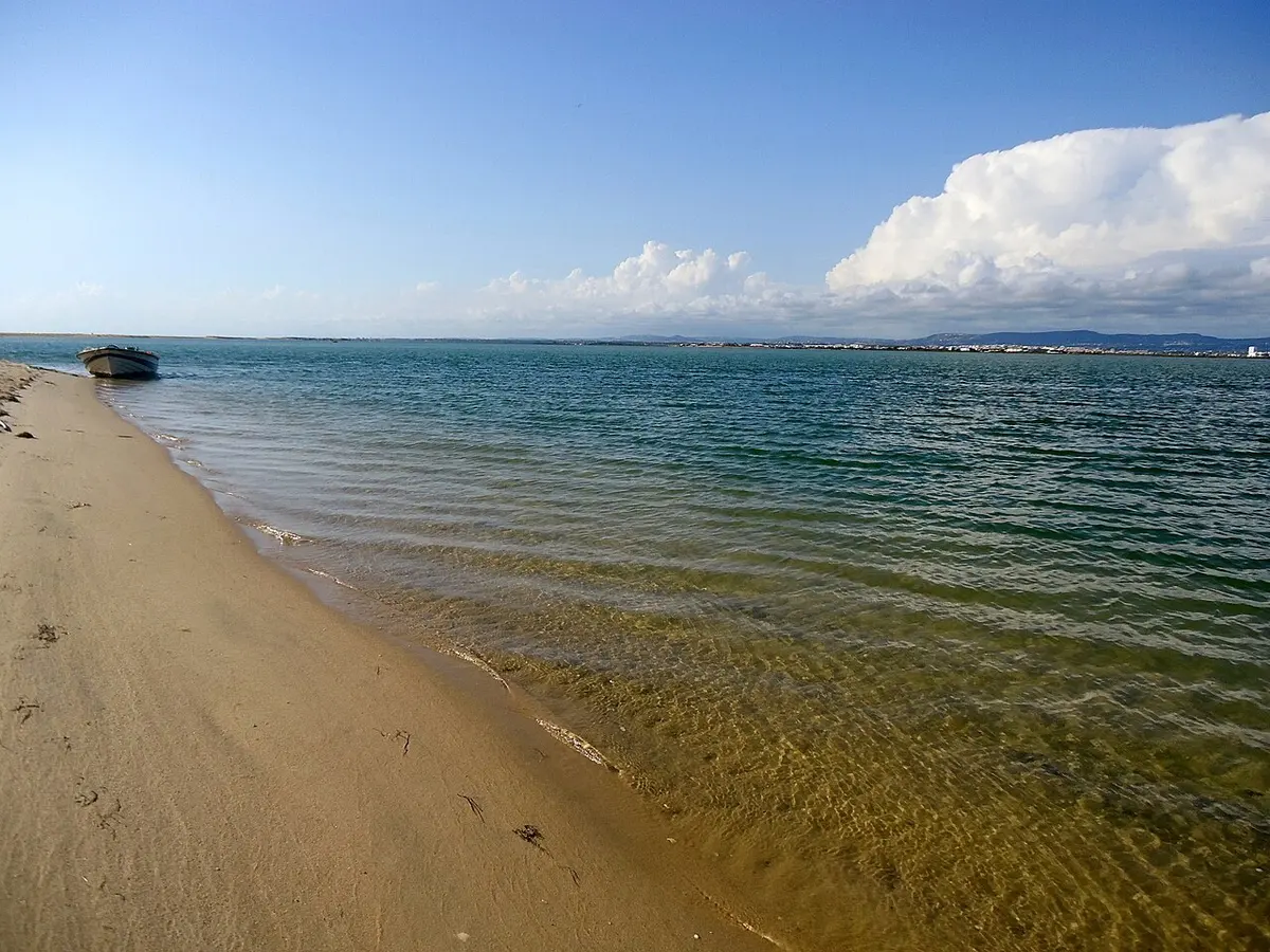 The sandy shoreline and clear water beside Ilha Deserta / Barreta