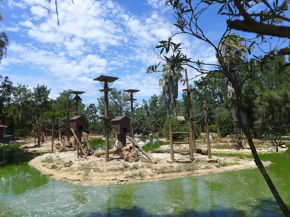 Water-surrounded primate island with climbing structures and greenery at Zoo de Lagos