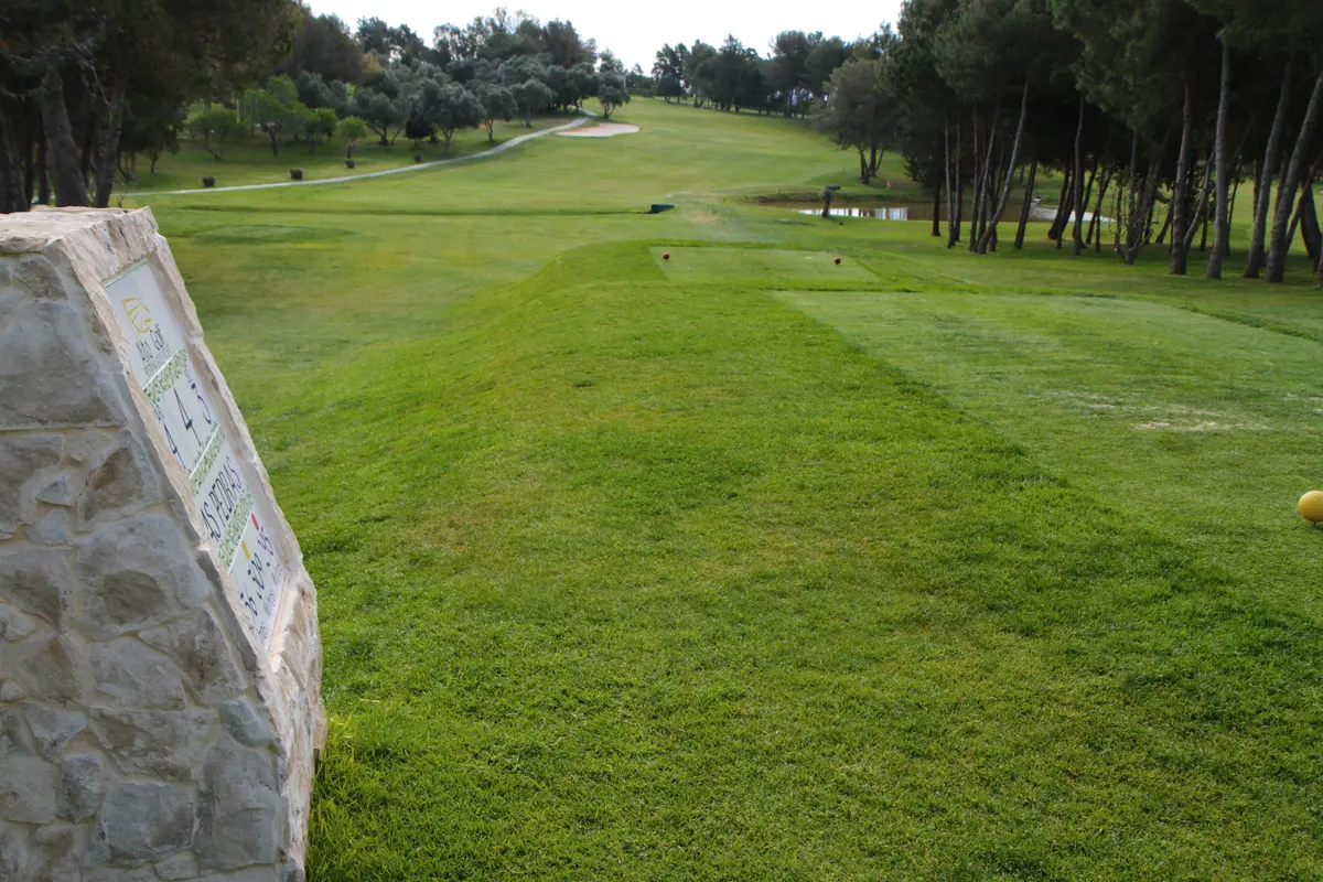 Branded Alto Golf tee marker beside a fairway and water feature