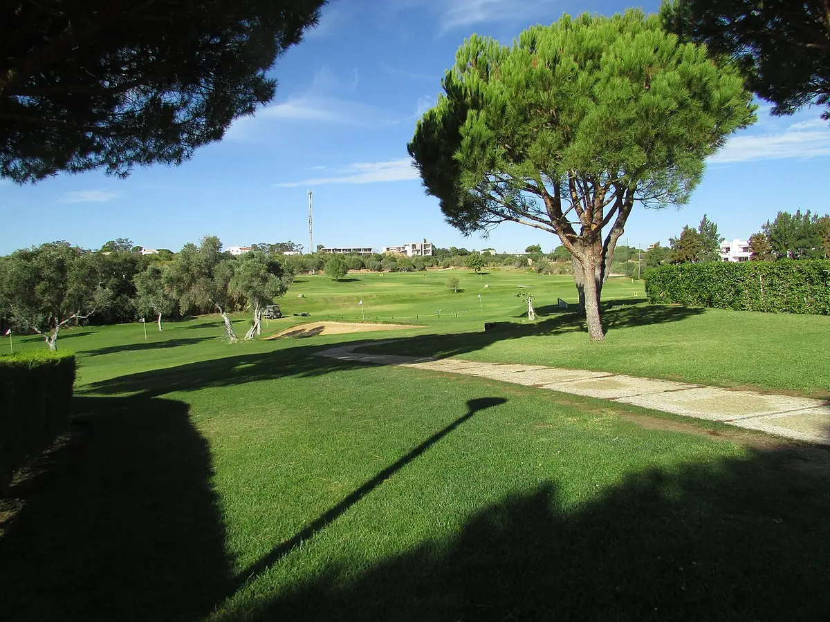 Pine trees and short fairways at Balaia Golf Course in Albufeira