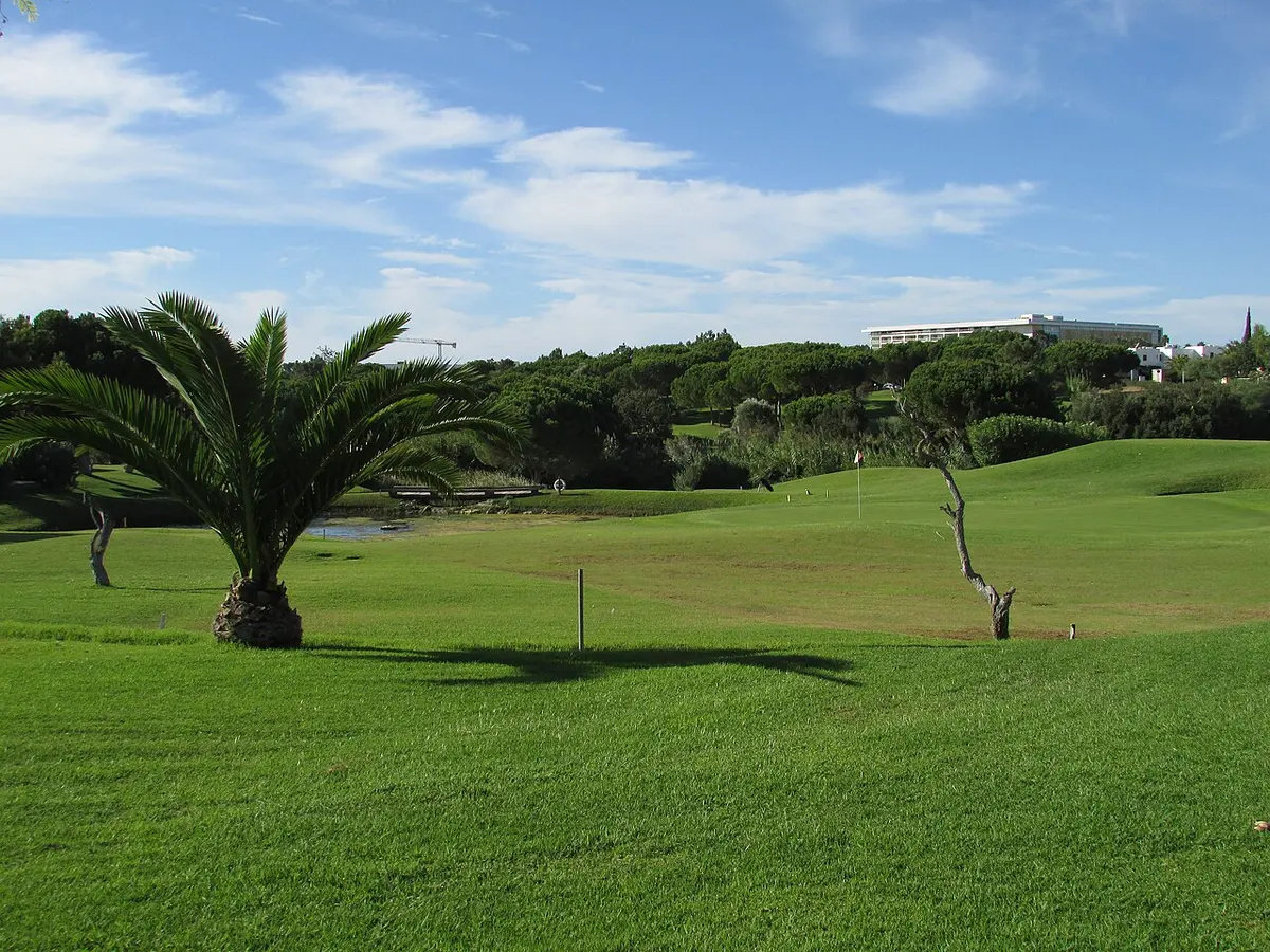 Palm trees beside a putting green at Balaia Golf Course in Albufeira