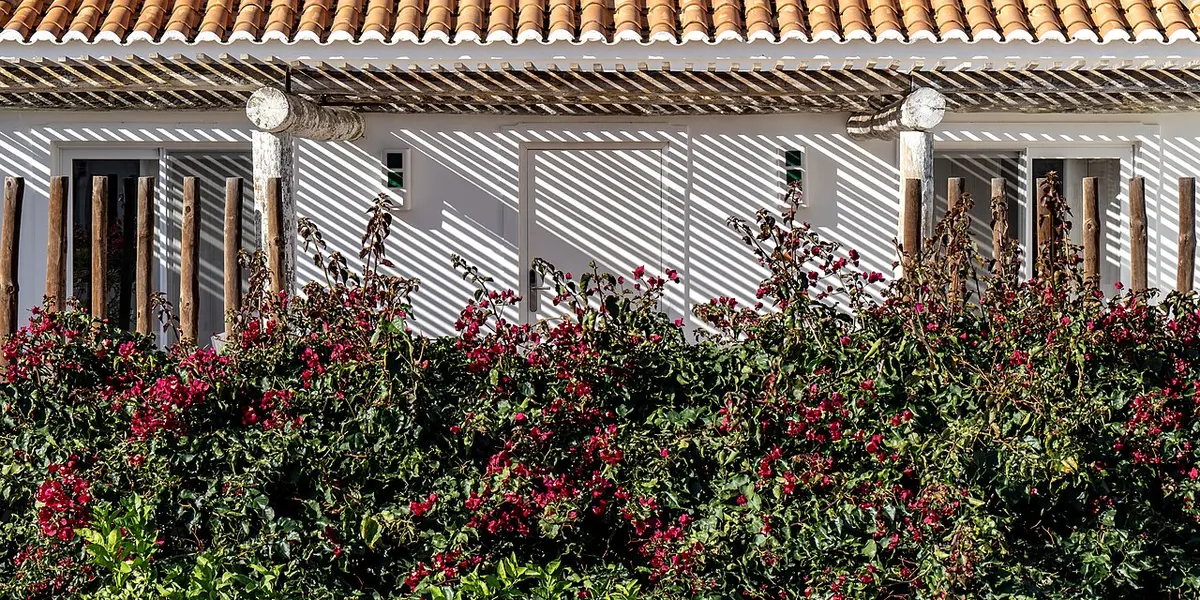 Flowers and a slatted pergola beside the buildings at Octant Vila Monte