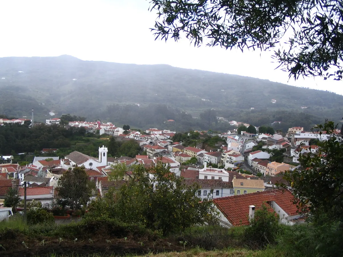 Monchique town spread across a wooded hillside