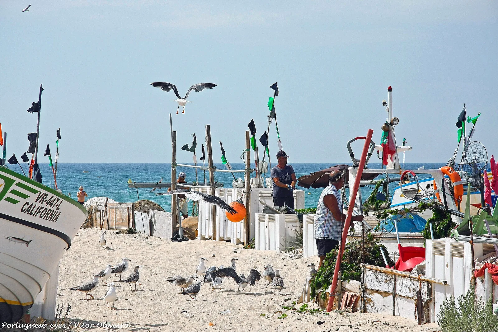 Traditional fishing boats on the sand at Monte Gordo