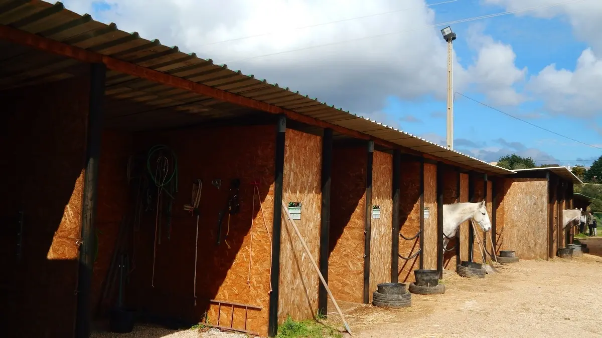 Wooden stable block and horses at Centro Hípico de Tavira