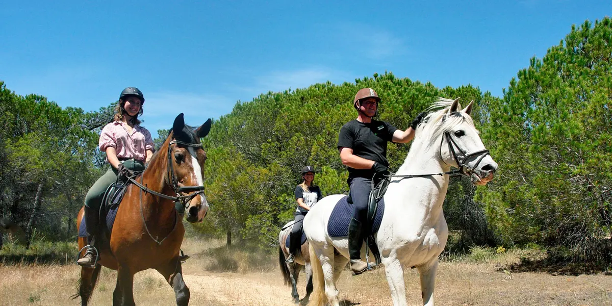 Helmeted riders on a sandy pine-lined trail during a Pinetrees riding outing