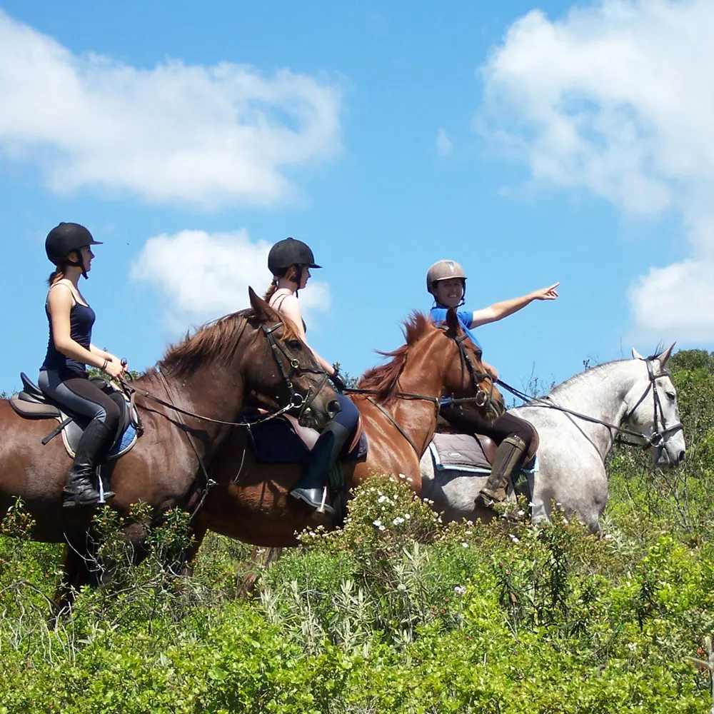 Helmeted riders on horses during an outing with Tiffany's Riding Centre