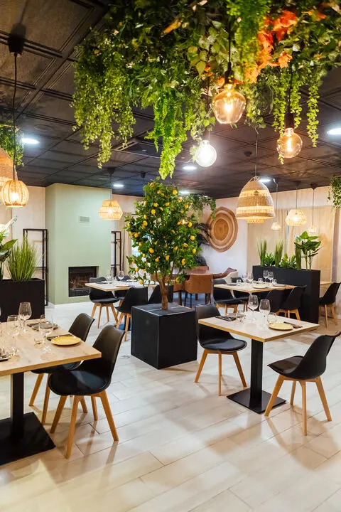 Set tables beneath hanging greenery in Fora da Vila’s dining room.