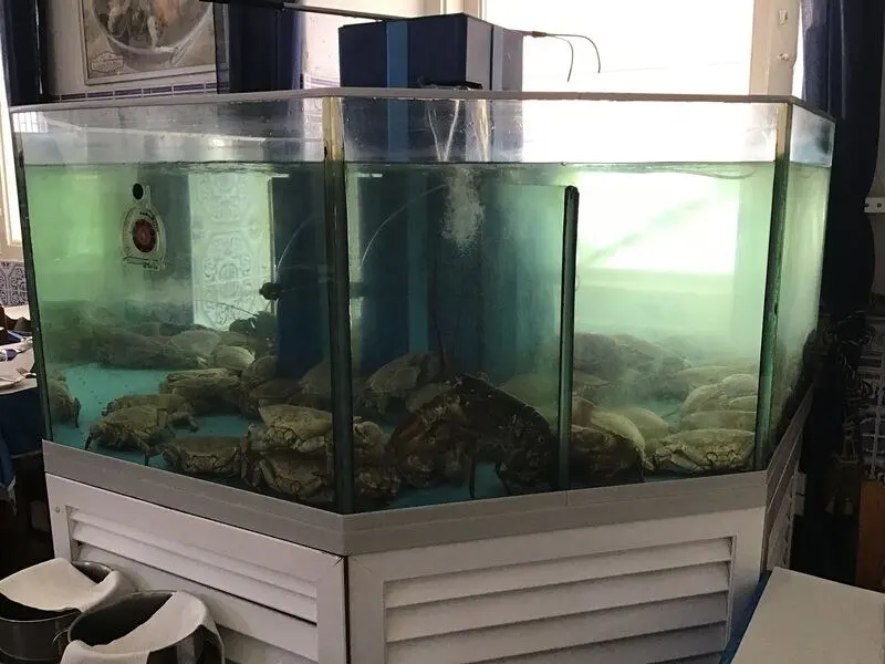 Seafood tank and dining tables at Marisqueira Casa Velha in Silves