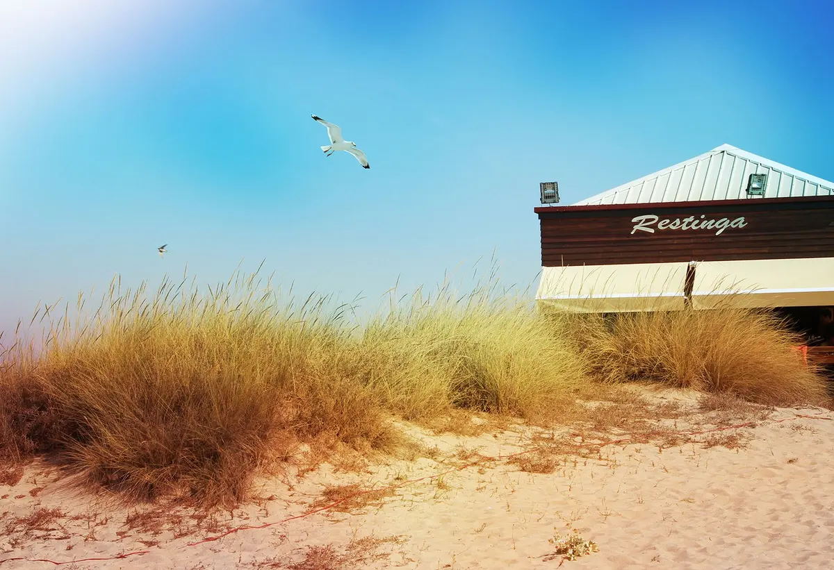 The Restinga Praia restaurant building beyond beach grasses and dunes
