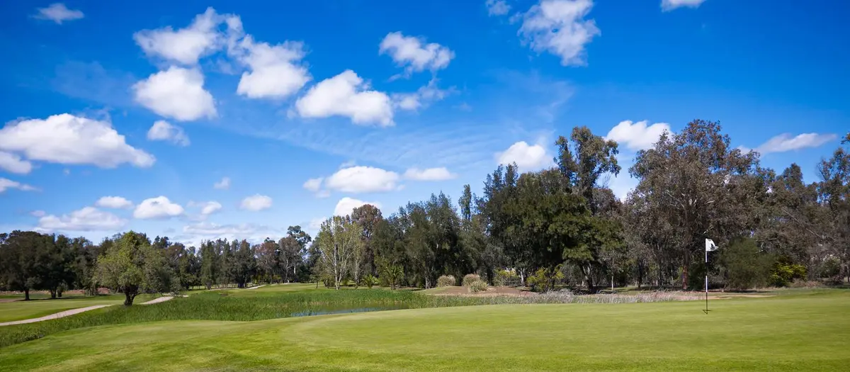 Fifth green beside a pond on Penina’s Academy Course