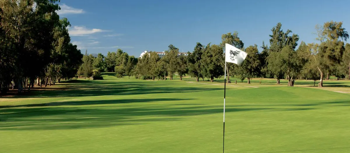 A flag and tree-lined green on Penina’s Resort Course