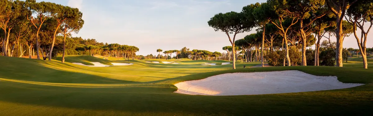 Sunlit fairway, bunkers and pine trees in the operator’s Laranjal Course photograph