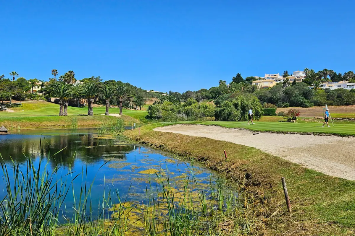 Palm trees, a bunker and golfers beside a pond at Santo António Golf
