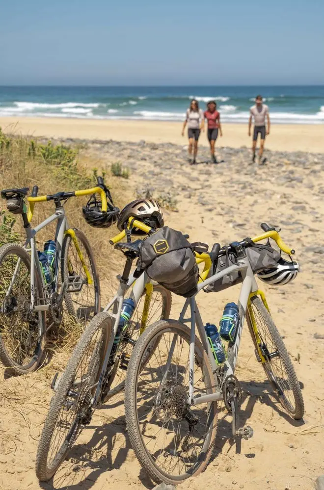 Road bicycles with handlebar bags beside a sandy beach