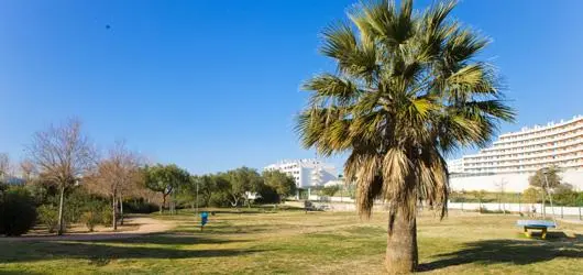 Palm tree, lawns and paths at Parque de Vale Faro in Albufeira