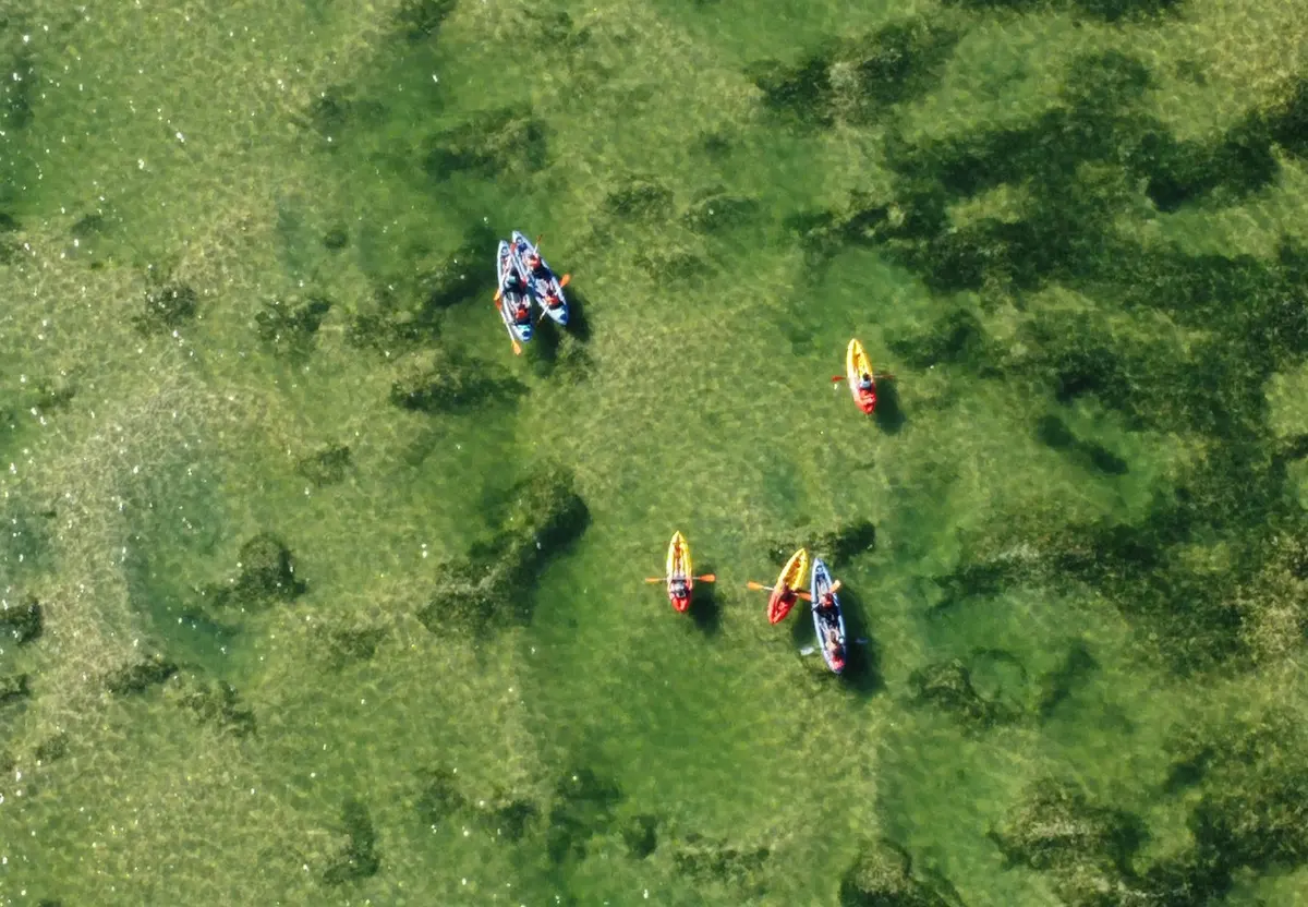 An overhead view of colourful kayaks on shallow lagoon water in Roots Kayak’s gallery