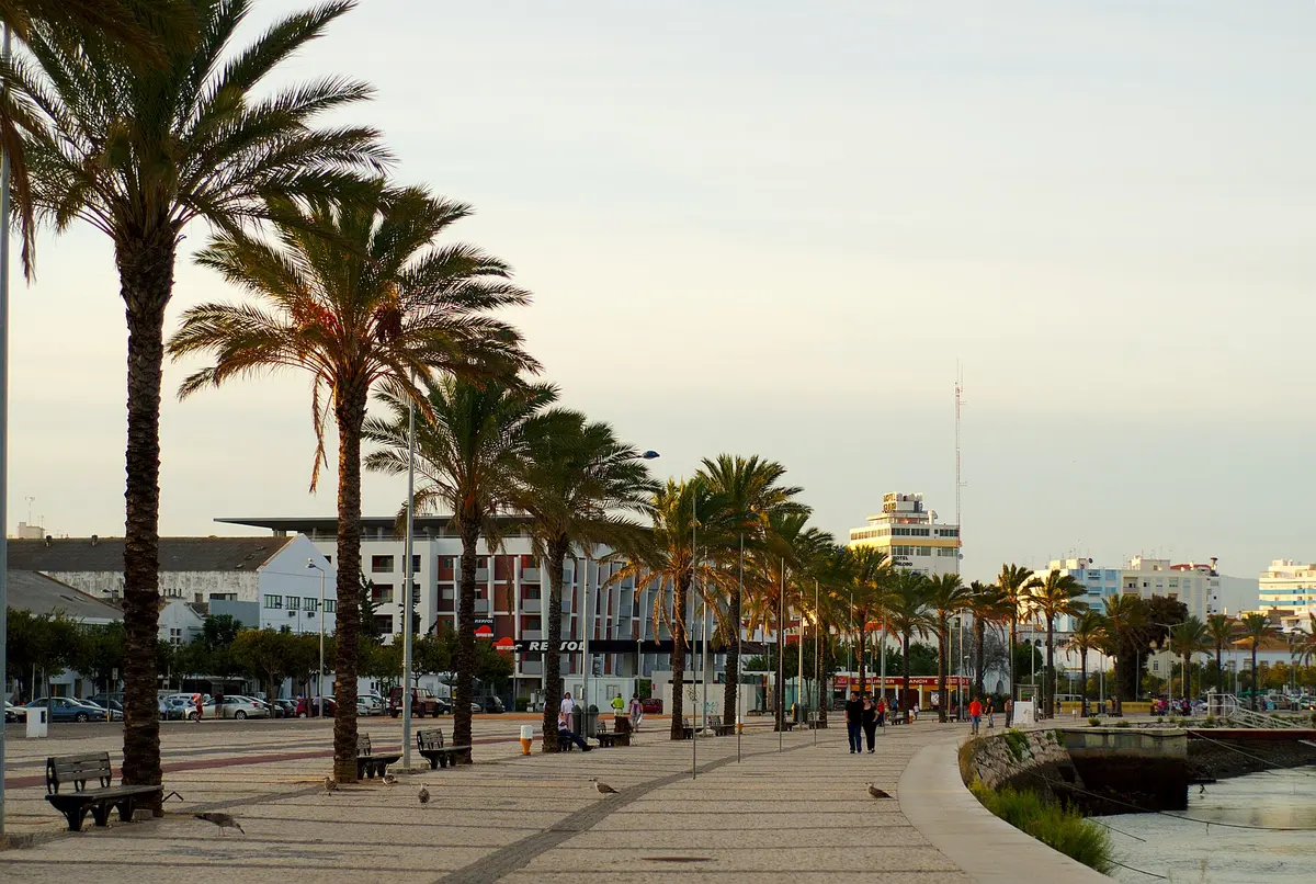 Palm trees along the pedestrian waterfront in Portimão